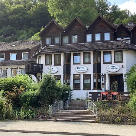 Hotel And Restaurant Bergschloesschen 3*