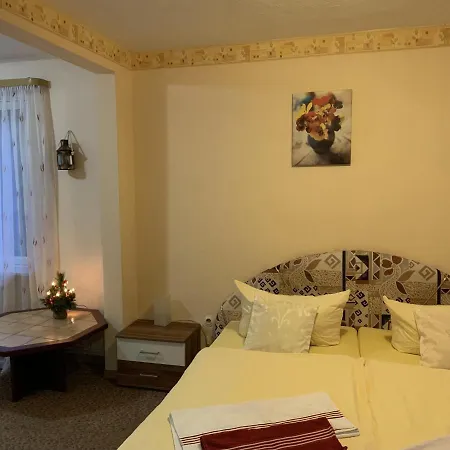 Hotel And Restaurant Bergschloesschen Zorge